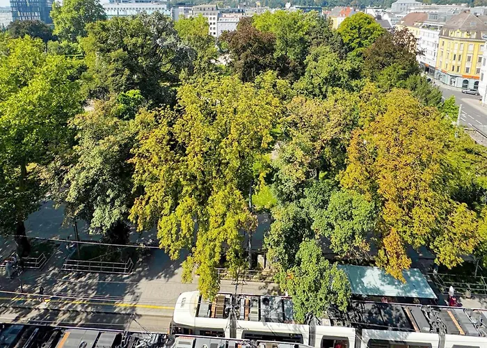 Bloom-living لينتز